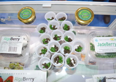 Veggie Caviar created by Dr Fan Lu, Algean Corporation Alga Berry and Jade Berry.